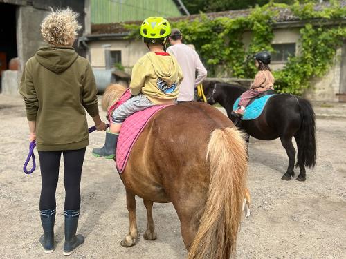 Pony führen