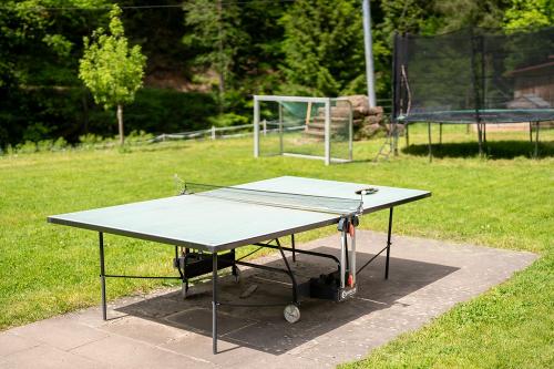 Hanselishof_Tischtennis
