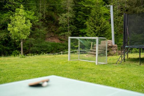 Hanselishof_Kickplatz