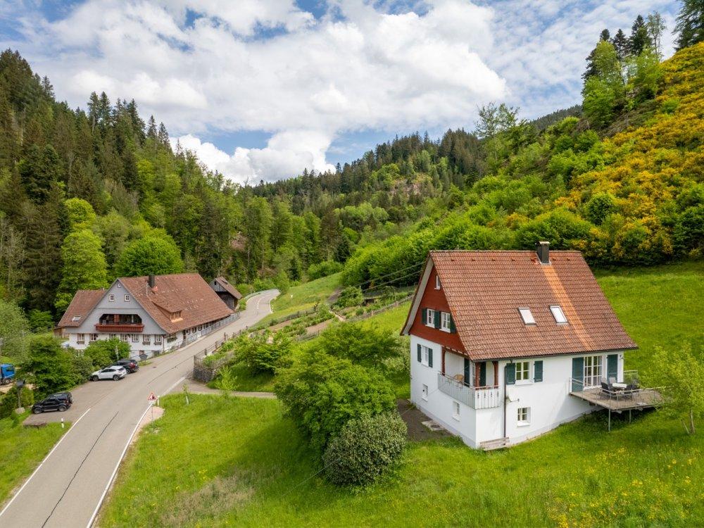 hanselishof_tanne hanselishof_tanne