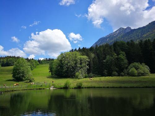 Weiher