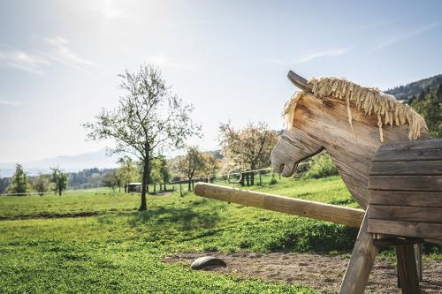 Schöne Aussichten !