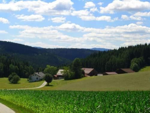 landschaft