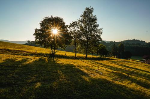Sonnenstrahlen