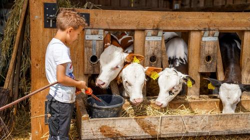 ferienhof_schmalzgrub-54