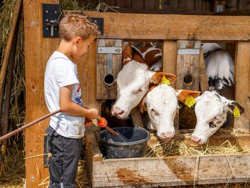 ferienhof_schmalzgrub-54