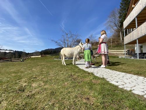 Landwirtschaft hautnah erleben