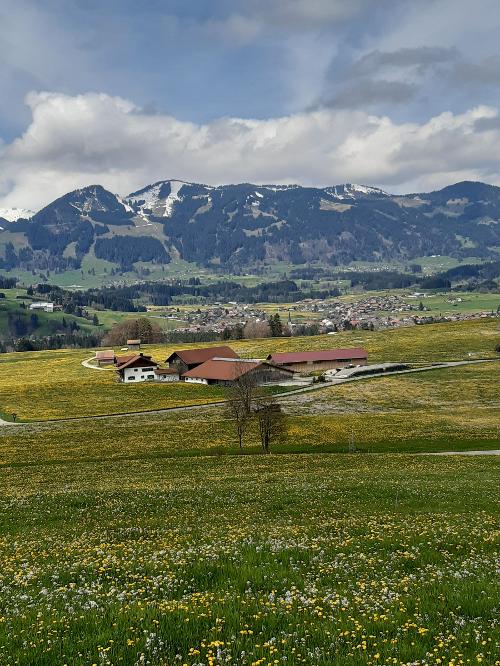 Hemerhof - Blick nach Westen Hemerhof - Blick nach Westen