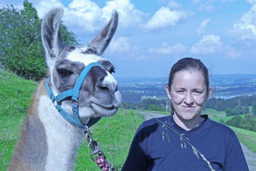 Unser Lama
