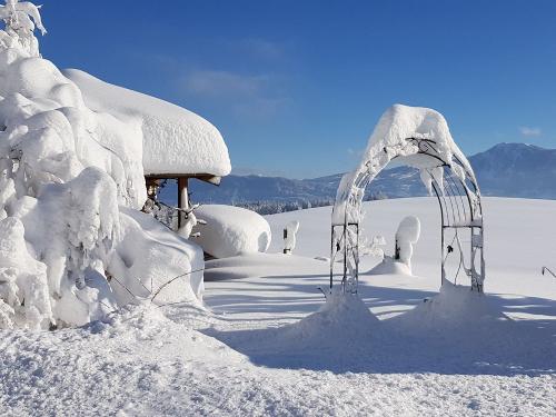 beiunsimwinter483766