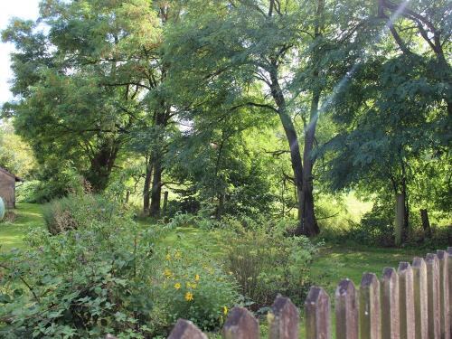 Garten an der Ferienwohnung