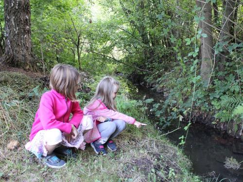 Kleiner Bach direkt am Hof