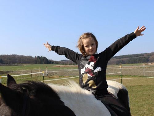 Reitpädagogik - Lernen mutig zu sein