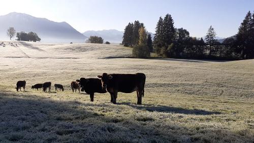 Bei uns im Herbst