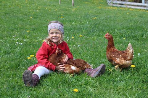 Landwirtschaft hautnah erleben
