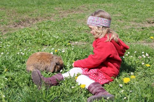 Landwirtschaft hautnah erleben
