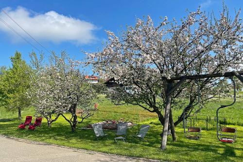 Spielplatz/Garten