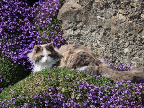 So kann man´s aushalten