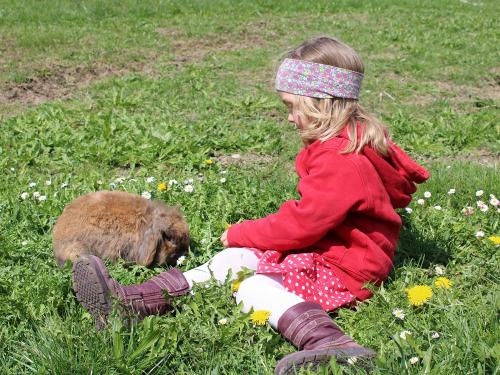 Landwirtschaft hautnah erleben
