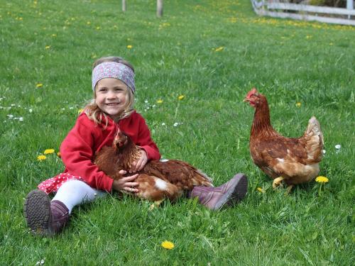 Landwirtschaft hautnah erleben