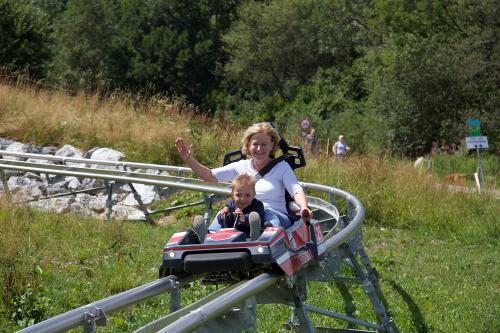 Alpspitzcoaster Nesselwang ca. 2,5 km entfernt