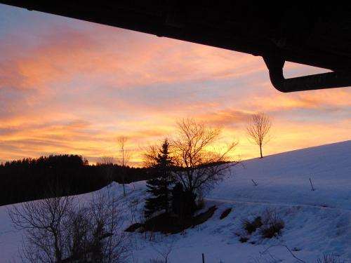winter_sonne