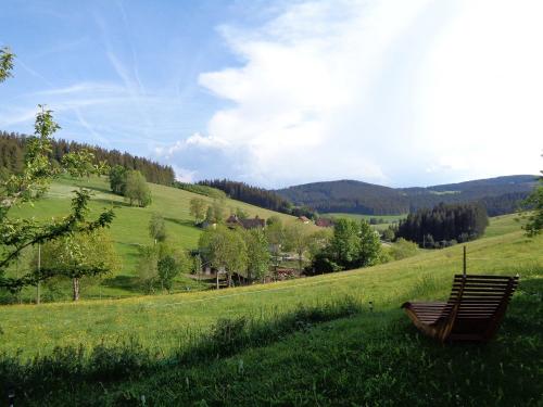 blick_ins_tal