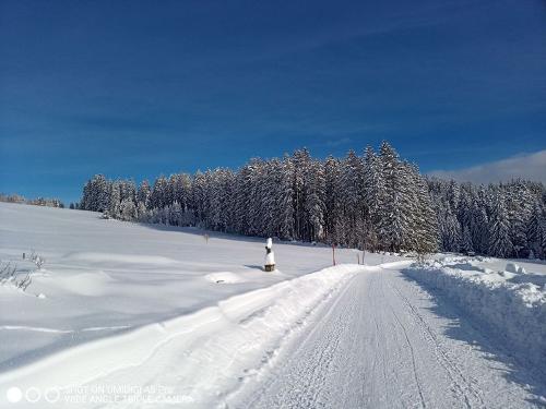 schneespur
