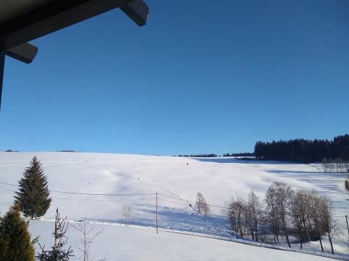 schneehang