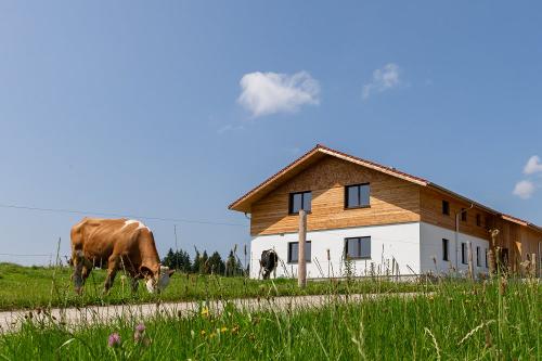 Das Ferienhaus in Alleinlage