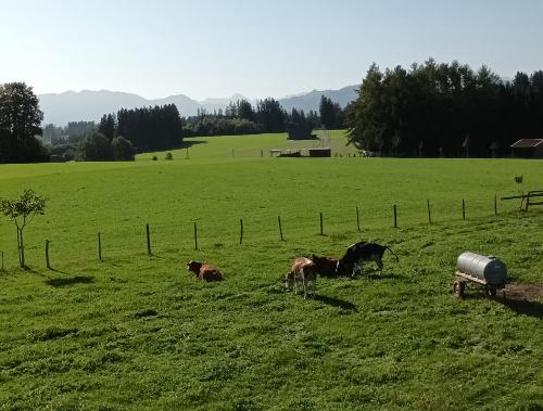 aussichtvombalkon