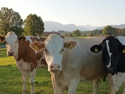 unserekheaufderweide