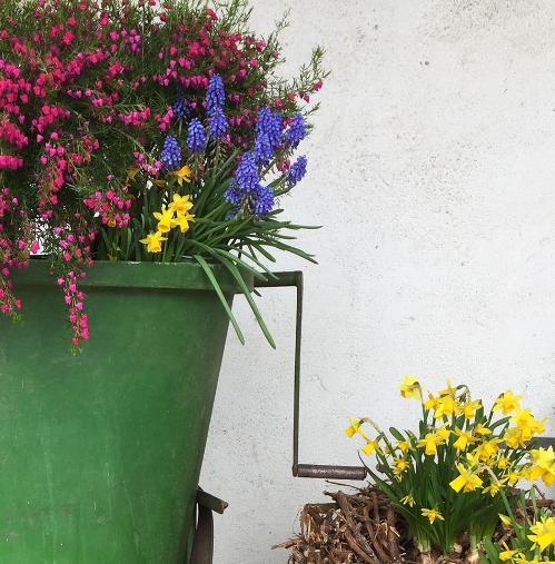 blumen-simon
