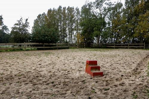 reiten-67