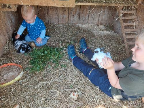 Mama und Babyhase
