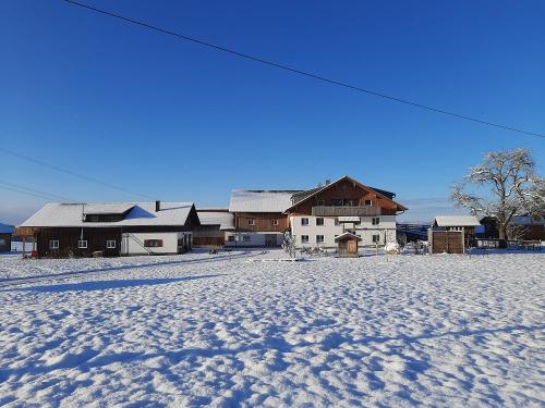 20221211_091653 20221211_091653