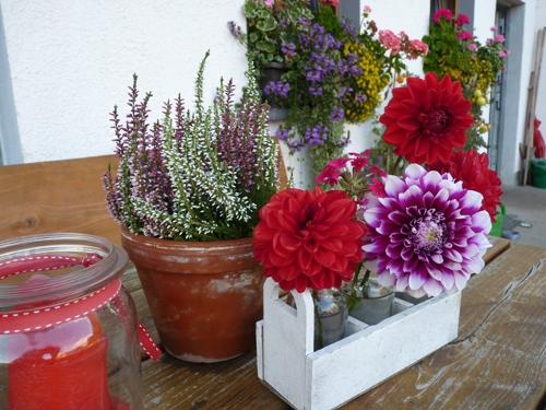 blumen