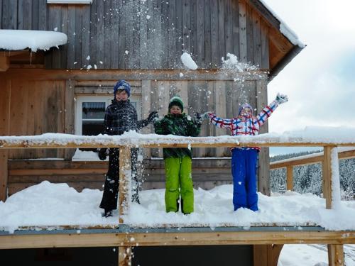 hauswinter