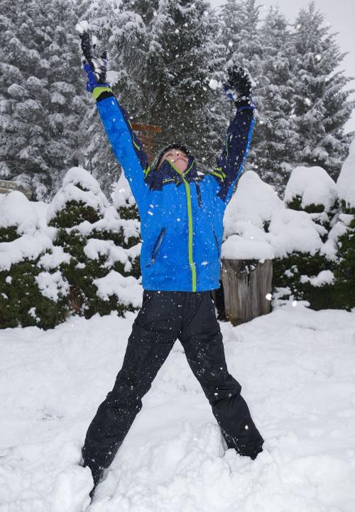 Schneeflocken