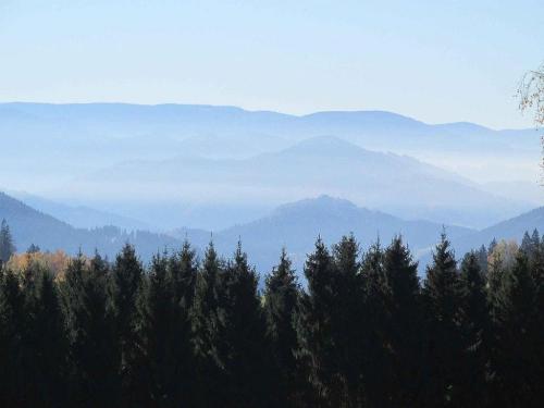 Sandras-Bergstation Schwarzwald