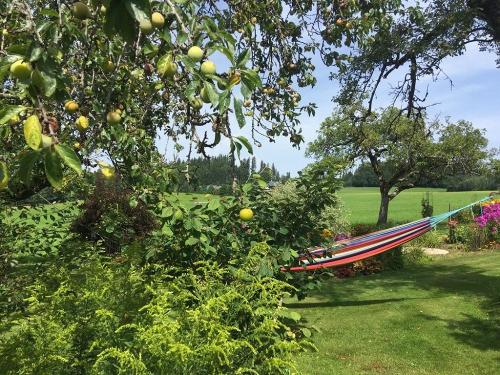 Endlich Zeit zum Relaxen und Entspannen