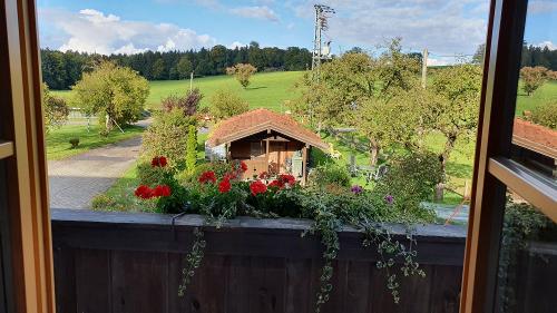 ausblick