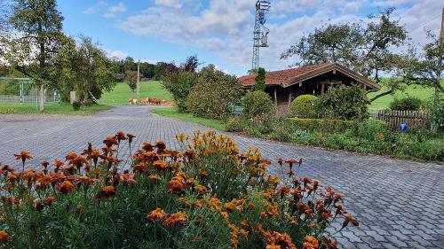 herbst