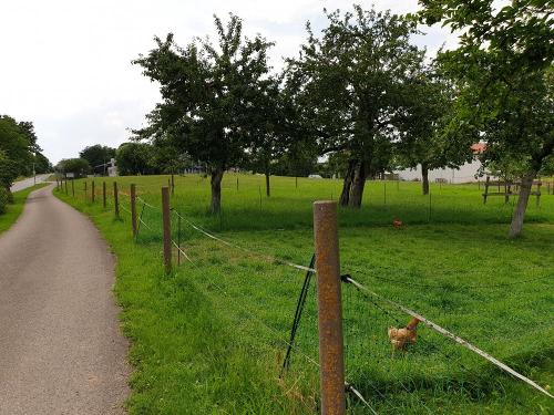 2022_ferienhof-zeitler-glashofen_bild3