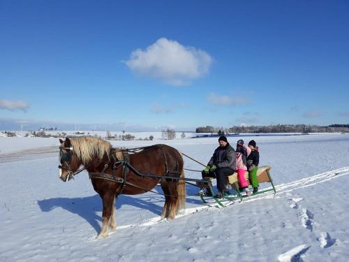 2022_ferienhof-zeitler-glashofen_tiere_bild4