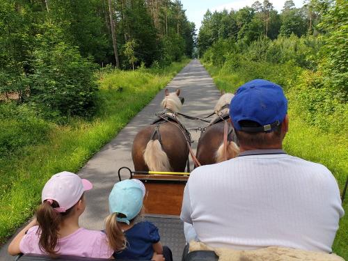 2022_ferienhof-zeitler-glashofen_tiere_bild3