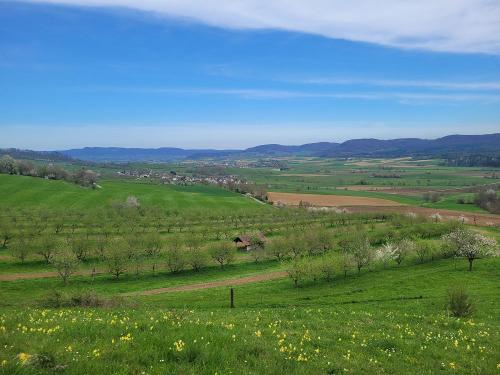 Frühling im Klettgau