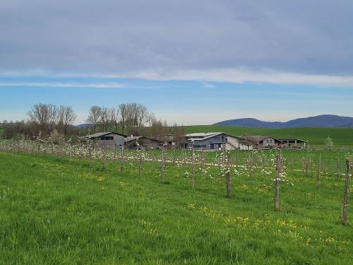 Hof Gasswies im Frühling