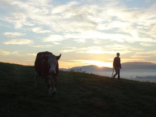 Abendstimmung