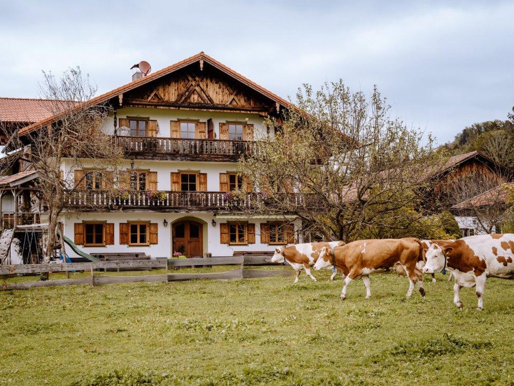 2 - AvH-Photo-BauernhofSchöffmann-2